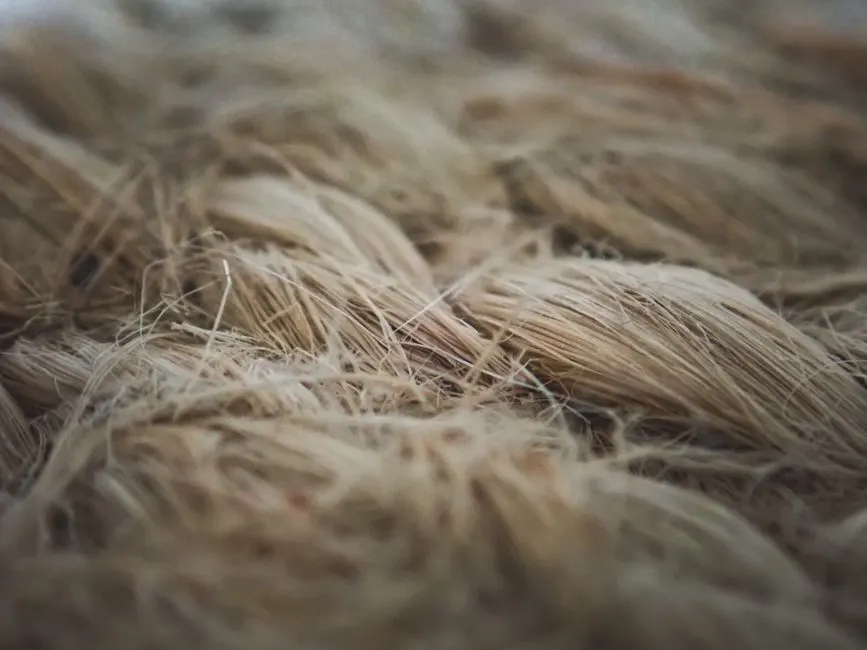 Detailed macro shot of raw flax fibers showcasing texture and natural color.